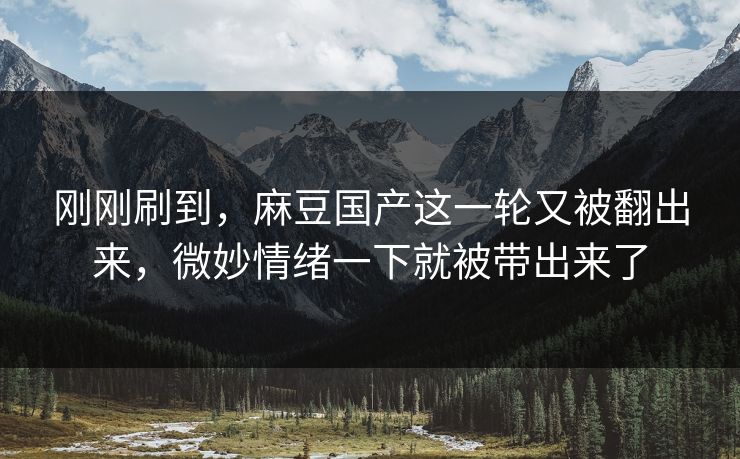 刚刚刷到，麻豆国产这一轮又被翻出来，微妙情绪一下就被带出来了