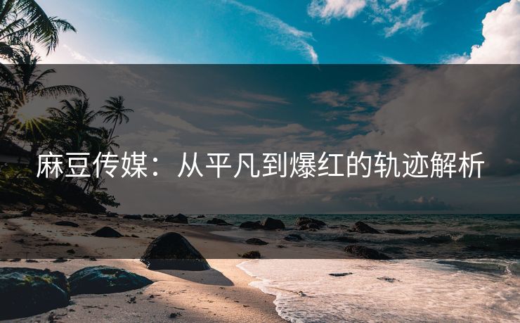 麻豆传媒：从平凡到爆红的轨迹解析