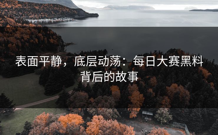 表面平静，底层动荡：每日大赛黑料背后的故事